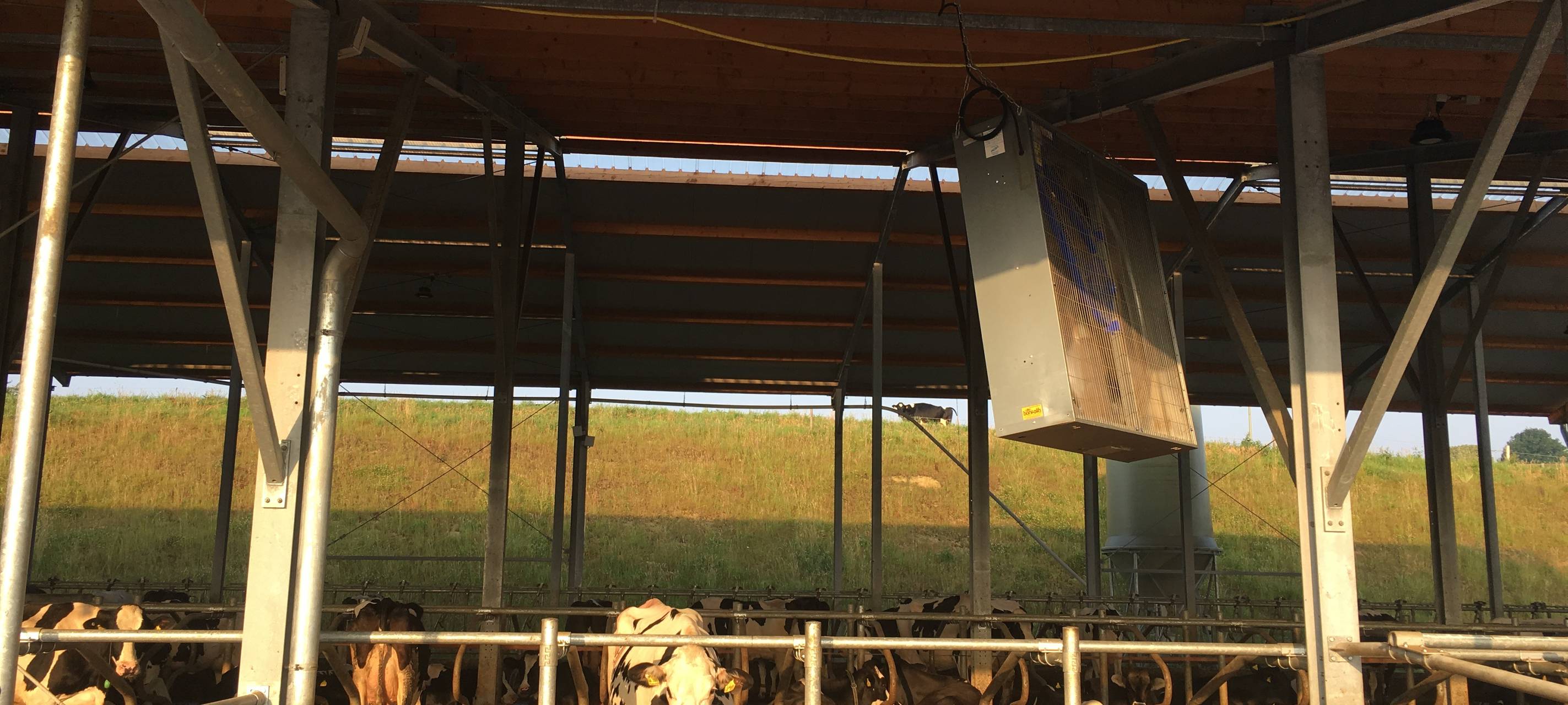 Oberbergische Milch-Bauern unter Druck