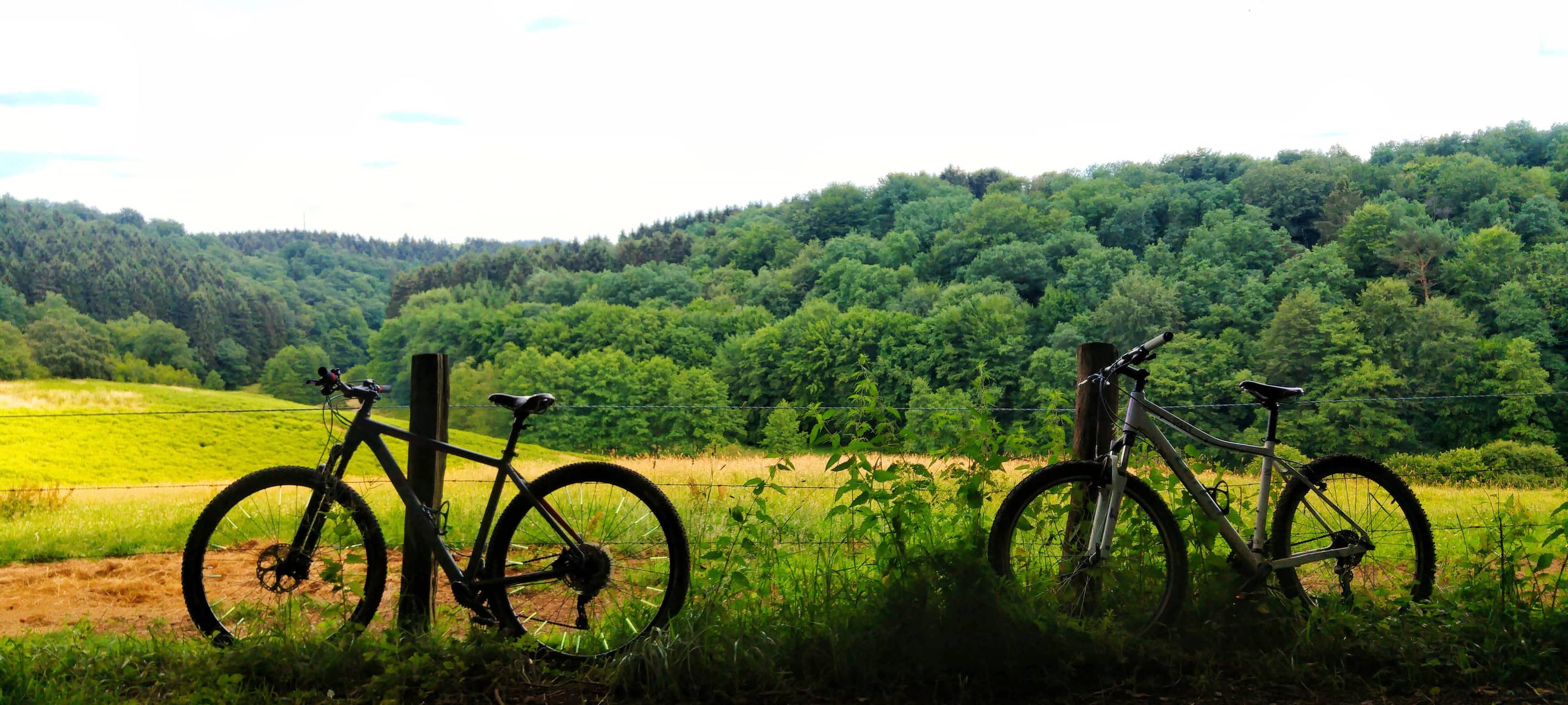 Radfahren: Alle vier "Art & Bike" Routen sind fertig