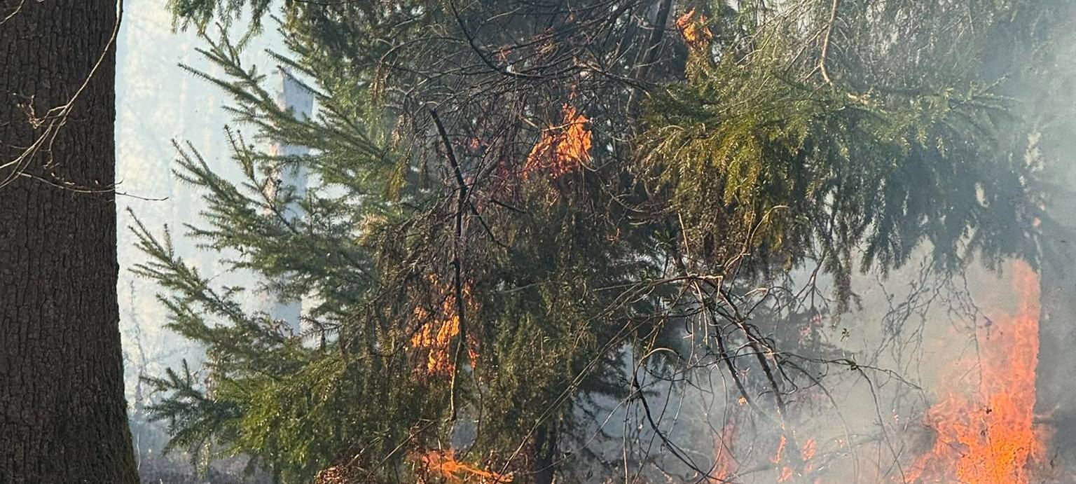 Hohe Waldbrandgefahr