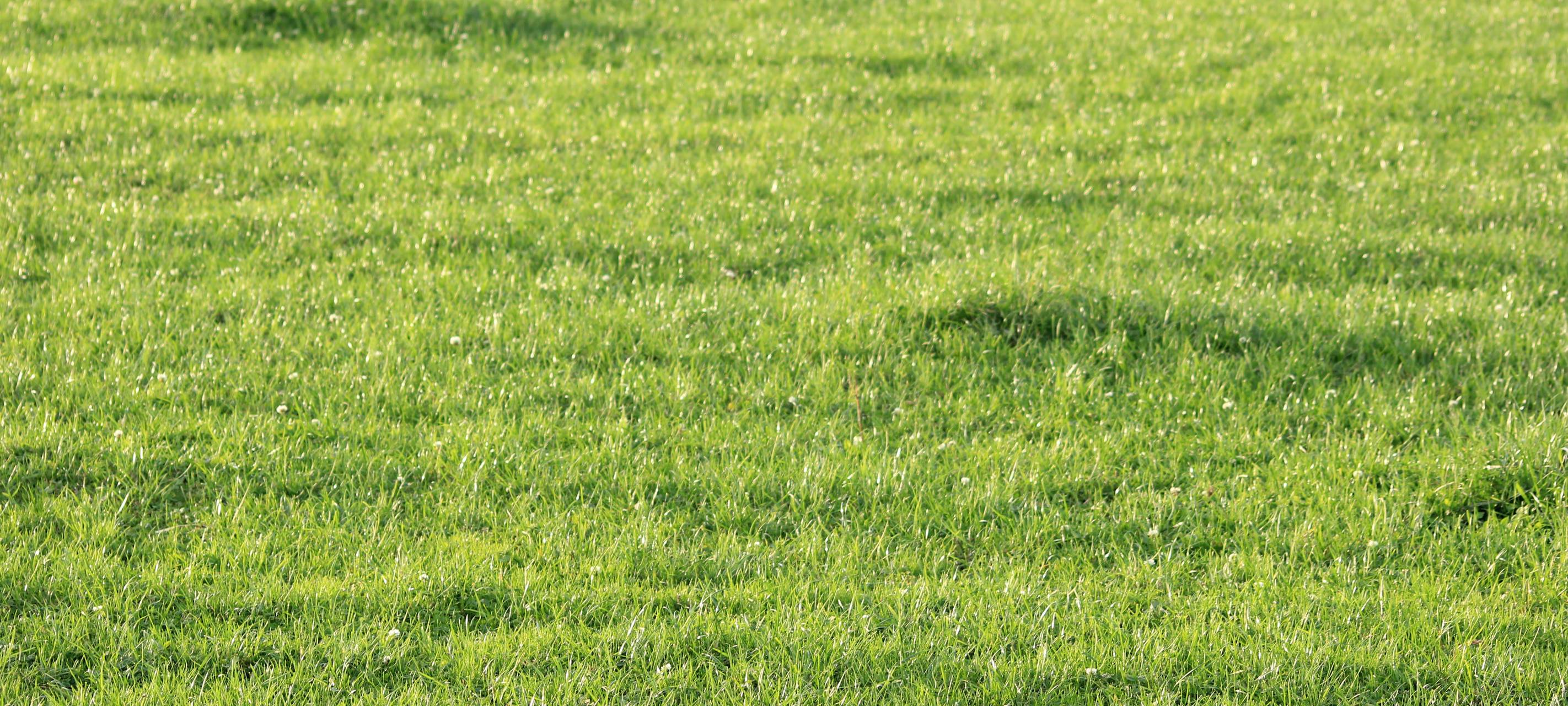 Rösrath/Overath - Nachtmähverbot für Mähroboter gefordert