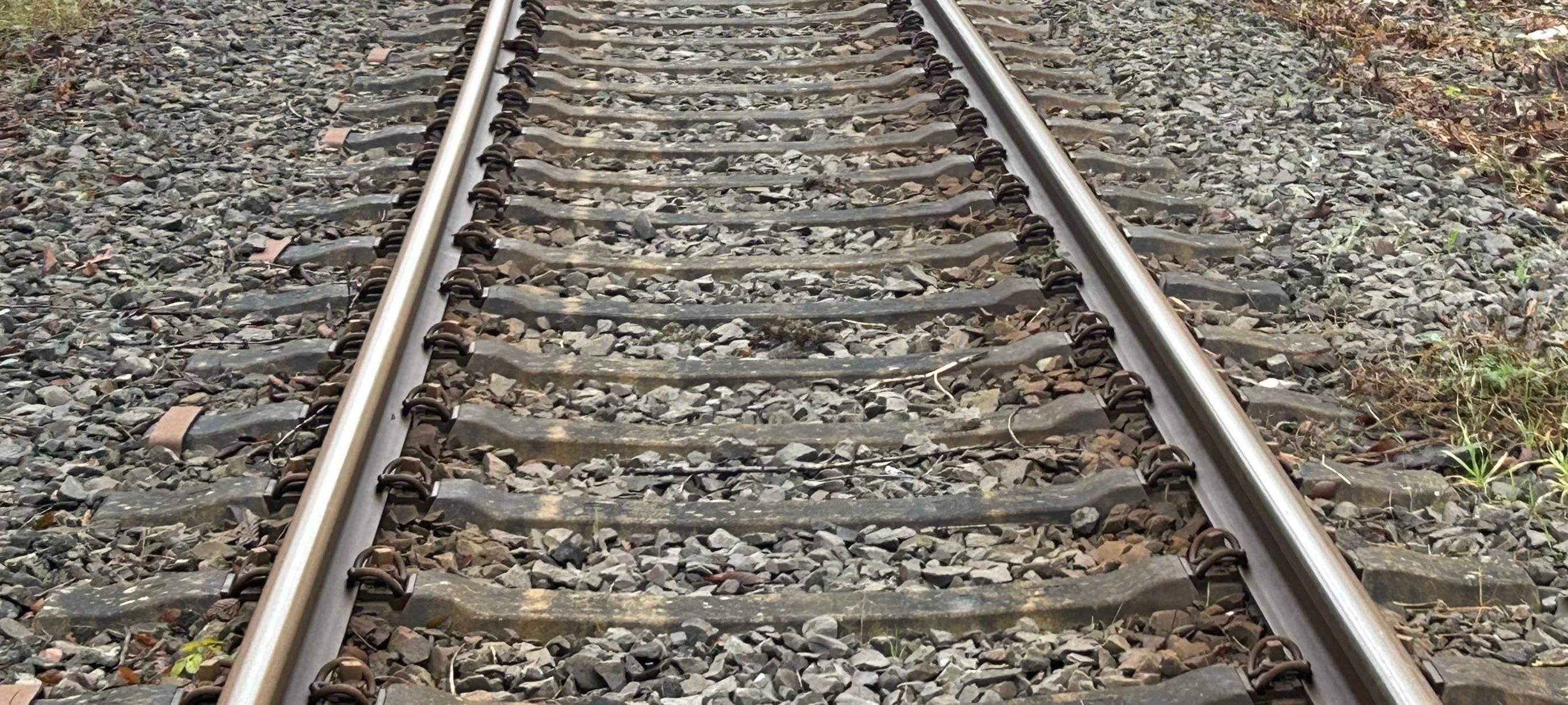 Straßenbahn mit Mülltonne kollidiert