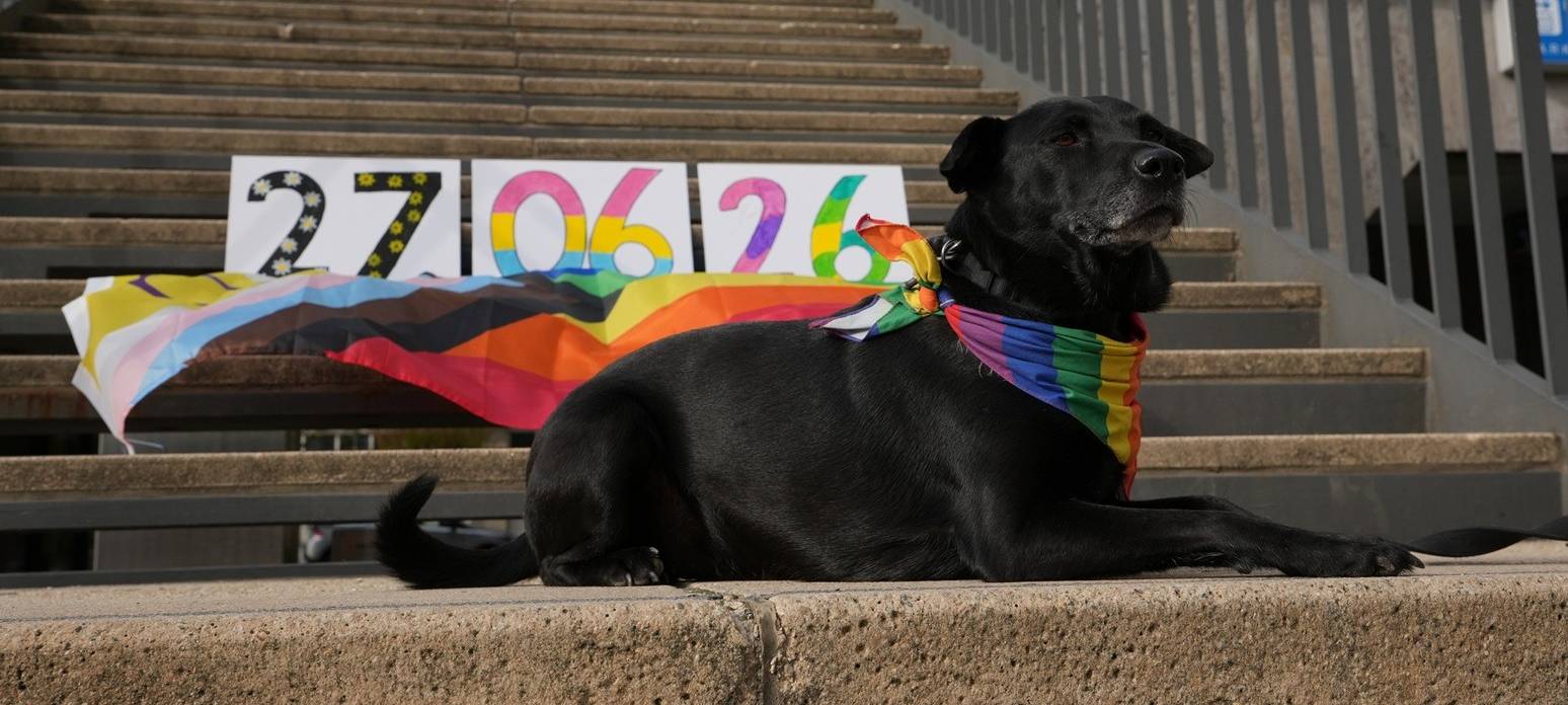 CSD in Gummersbach