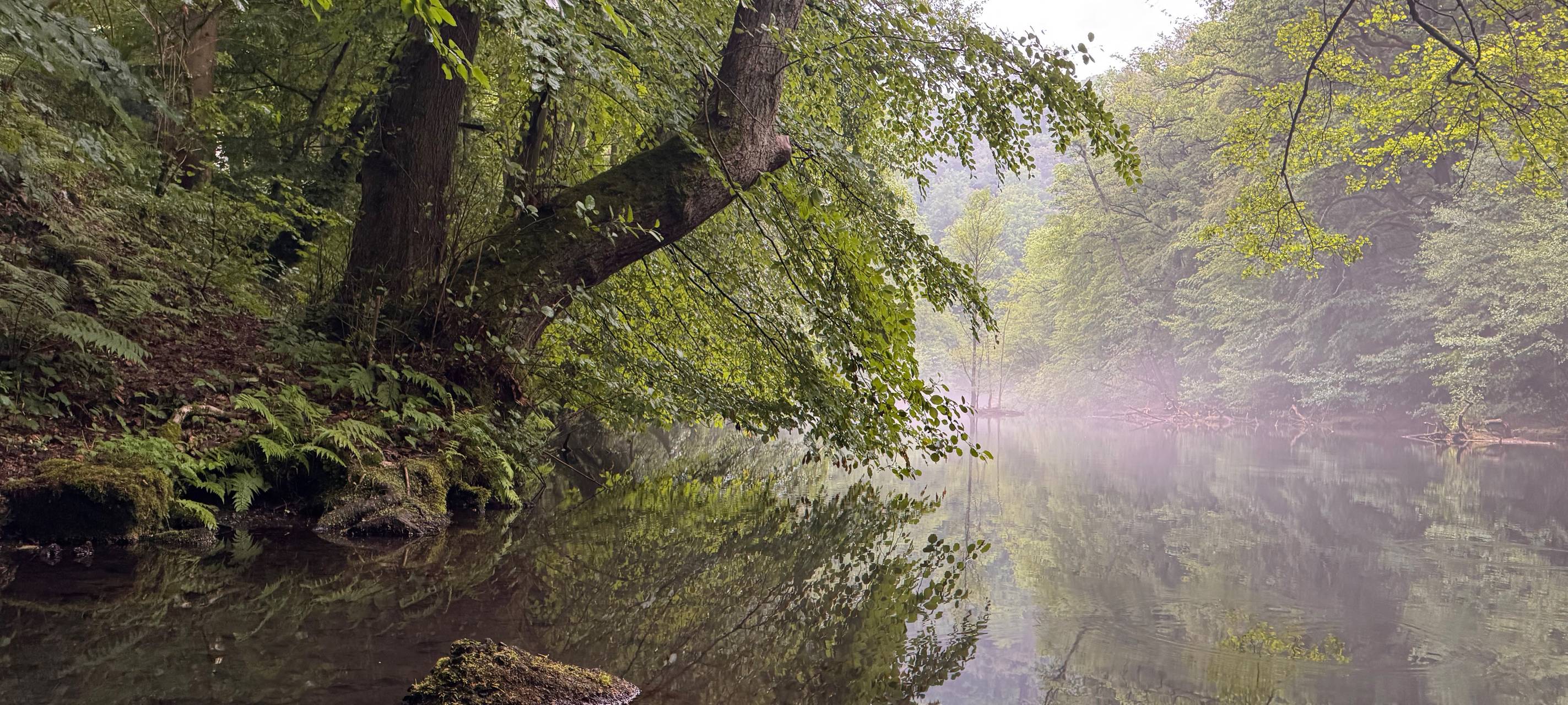 Regenreicher Mai: Bergische Talsperren gut gefüllt