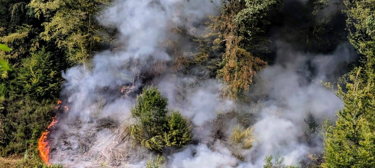 Rösrath: Waldbrand am Lüderich