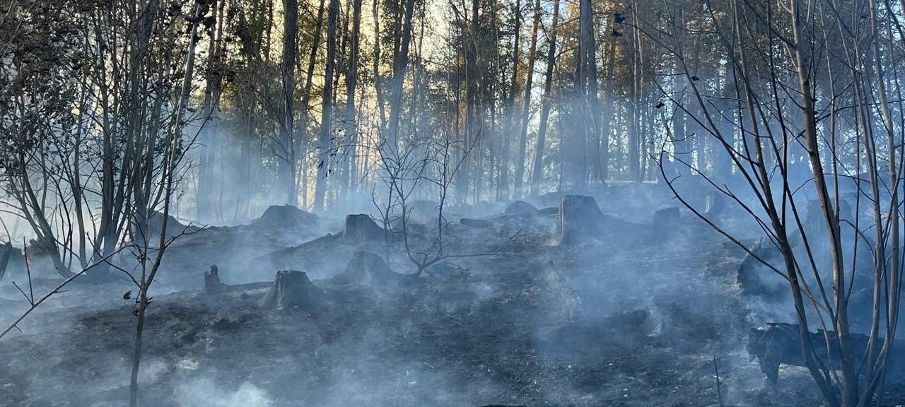 Mehrere Feuerwehreinsätze in Oberberg - großer Waldbrand in