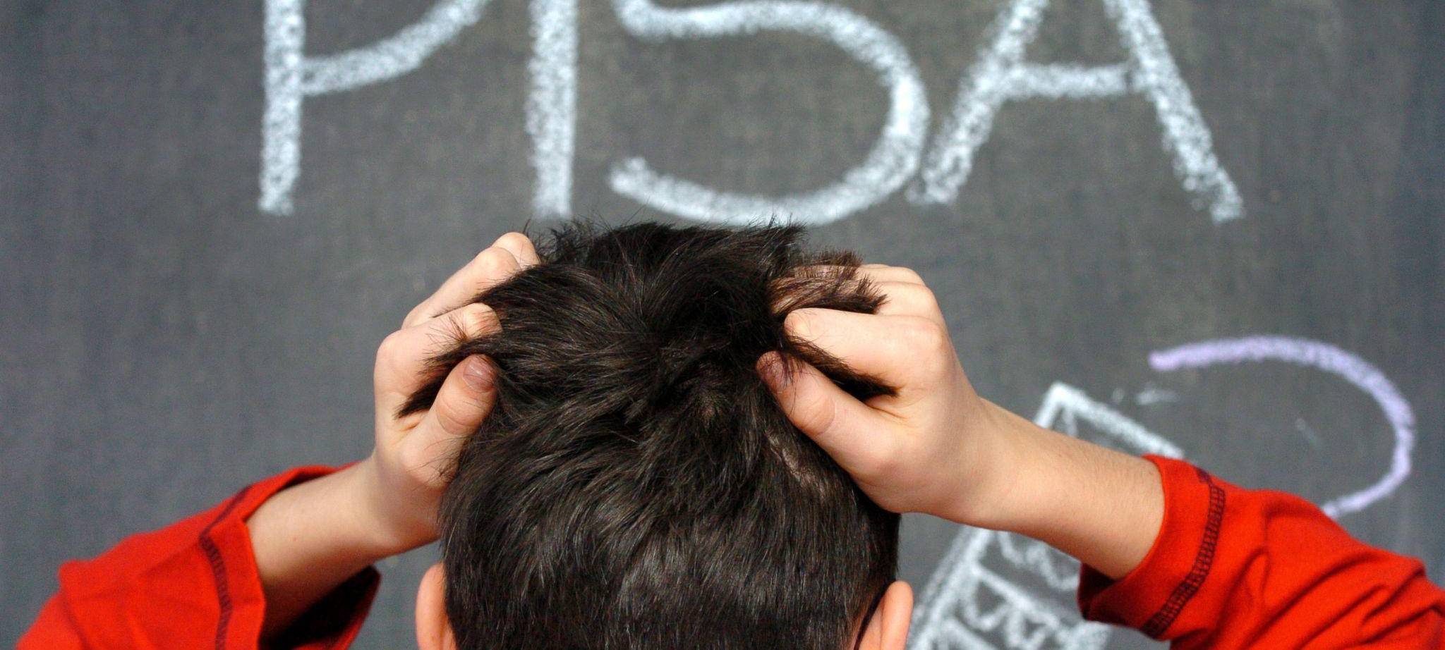 Pisa-Studie