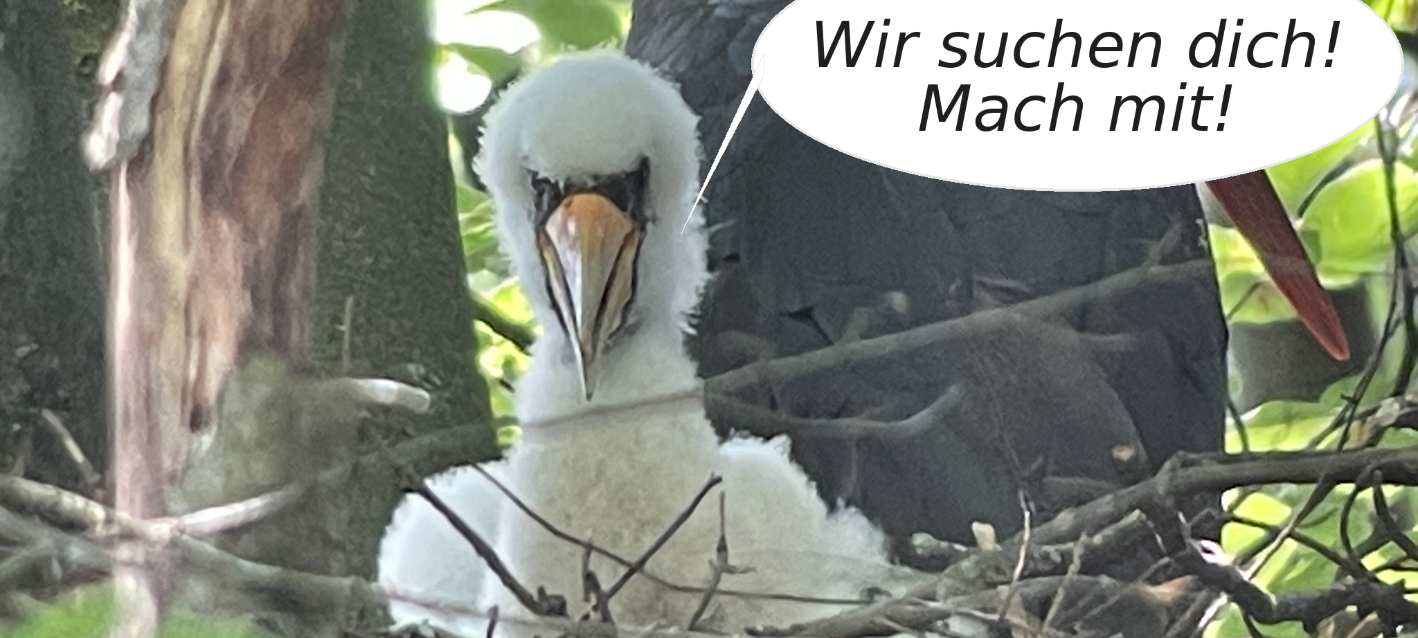 Naturschutzbund sucht Unterstützer